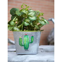 Corbeille carré en métal galvanisé Cactus