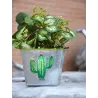 Corbeille carré en métal galvanisé Cactus