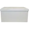 Banc coffre polyuréthane couvercle capitonné