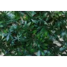 Treillis en bois de saule et feuilles de vigne vierge artificielles