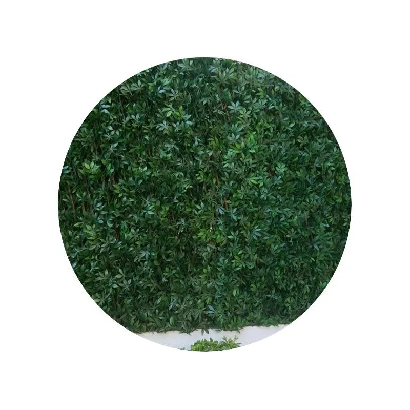 Treillis en bois de saule et feuilles de vigne vierge artificielles