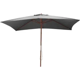 Parasol avec mât en bois 300x200 cm Ori