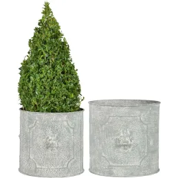 Pot de fleurs ronds Lion (Lot de 2)