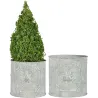 Pot de fleurs ronds Lion (Lot de 2)