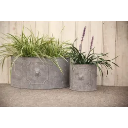 Pot de fleurs ronds Lion (Lot de 2)