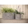 Pot de fleurs ronds Lion (Lot de 2)