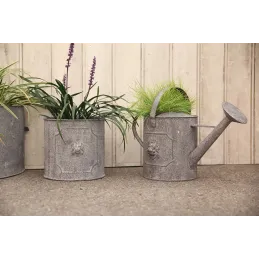 Pot de fleurs ronds Lion (Lot de 2)