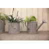 Pot de fleurs ronds Lion (Lot de 2)