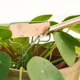 Etiquettes à plantes en cuivre (Lot de 6)