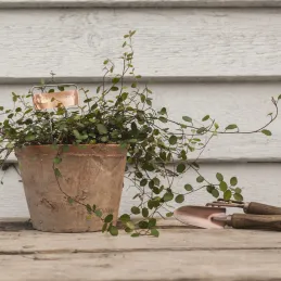 Etiquettes à plantes en cuivre (Lot de 6)