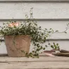 Etiquettes à plantes en cuivre (Lot de 6)
