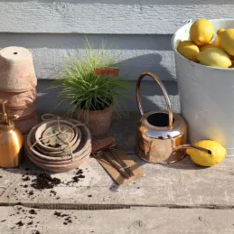 Etiquettes à plantes en cuivre (Lot de 6)