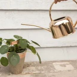 Etiquettes à plantes en cuivre (Lot de 6)