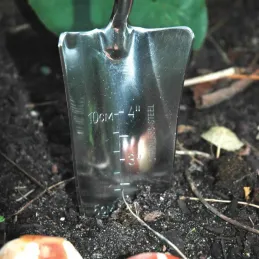 Pelle transplantoir en acier inoxydable et frêne