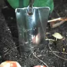 Pelle transplantoir en acier inoxydable et frêne