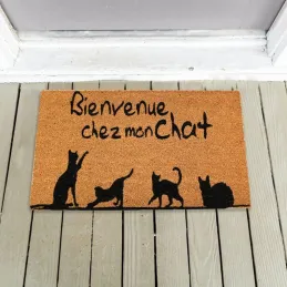 Paillasson coco intérieur extérieur 75 x 45 cm