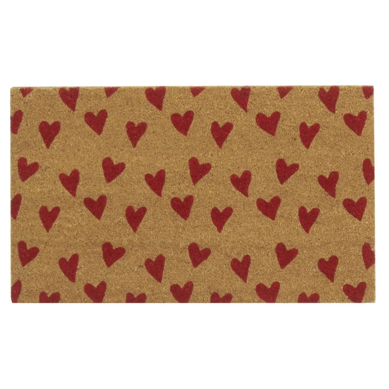 Paillasson coco intérieur extérieur 75 x 45 cm
