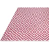Tapis intérieur extérieur Chanler blush