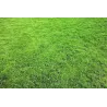 Terreau création et entretien pelouse avec mycorhizes 40 litres