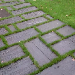 Palis de schiste ton ardoise