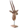 Trophée d'antilope 
