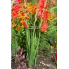Support à plantes rond en acier 20 cm (Lot de 3)