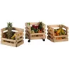 Caisse de rangement sur roulettes Evolution (Lot de 3)