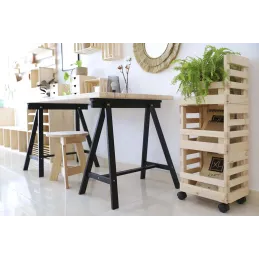 Caisse de rangement sur roulettes Evolution (Lot de 3)