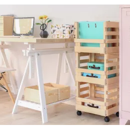 Caisse de rangement sur roulettes Evolution (Lot de 3)