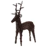 Cerf sur pied