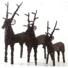 Cerf sur pied