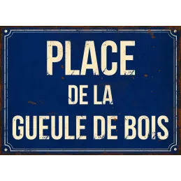 Plaque en métal humour 21 x 15 cm