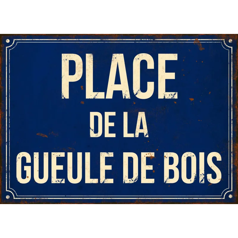 Plaque en métal humour 21 x 15 cm