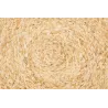 Set de table en maïs (Lot de 6)