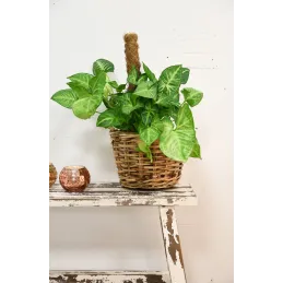 Cache-pots assortis en rotin (Lot de 3)
