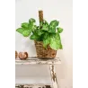 Cache-pots assortis en rotin (Lot de 3)