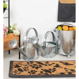 Arrosoir en zinc 5 litres