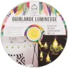 Guirlande lumineuse cactus 10 LED 165 cm