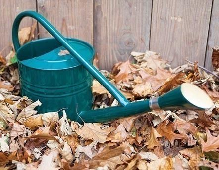 Arrosage jardin, récupération d'eau sur Jardindeco