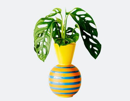 Cadeau déco sur Jardindeco