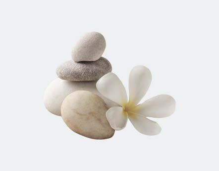 Cadeau bien être sur Jardindeco