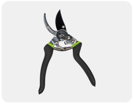 Outils de taille, coupe et élagage sur Jardindeco
