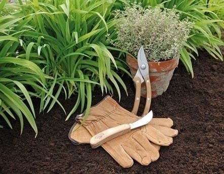 Jardinage : achat d'outils, équipements et accessoires - Jardindeco