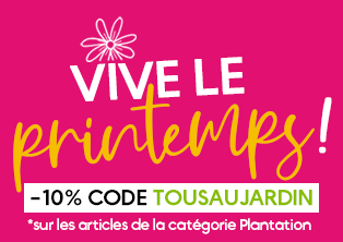 Vive le printemps