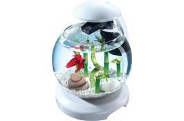Aquarium design, notre sélection ultra-moderne !