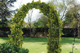 Arche de jardin pour plantes grimpantes : sublimer votre extérieur