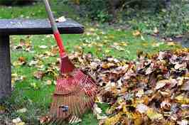 Préserver votre gazon en automne grâce au rateau à feuilles I JardinDéco