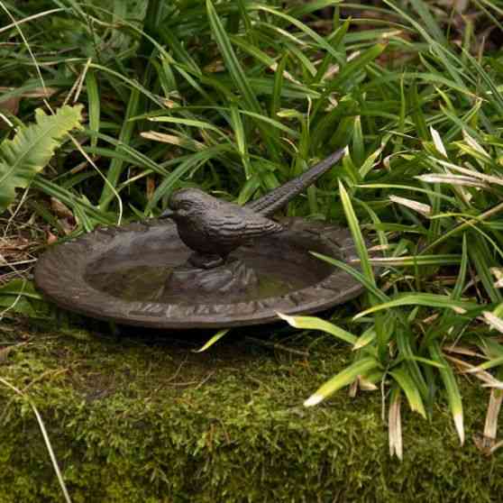 bassin-oiseaux-achat-vente