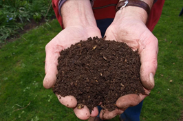 Zoom sur le terreau horticole, le terreau multifonction