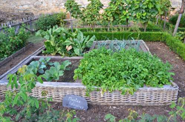 Aménager un carré potager dans un petit espace.